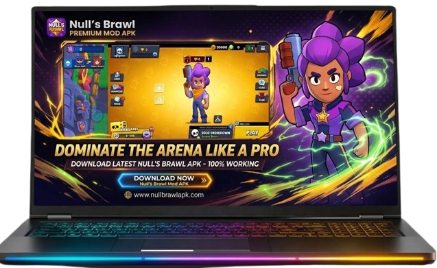 Null's Brawl laptop